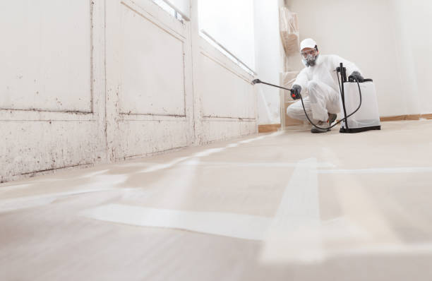24/7 Emergency Mold Remediation experts in West Chester, PA