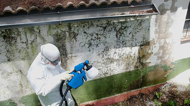 Top rated local Mold Remediation specialists in West Chester, PA